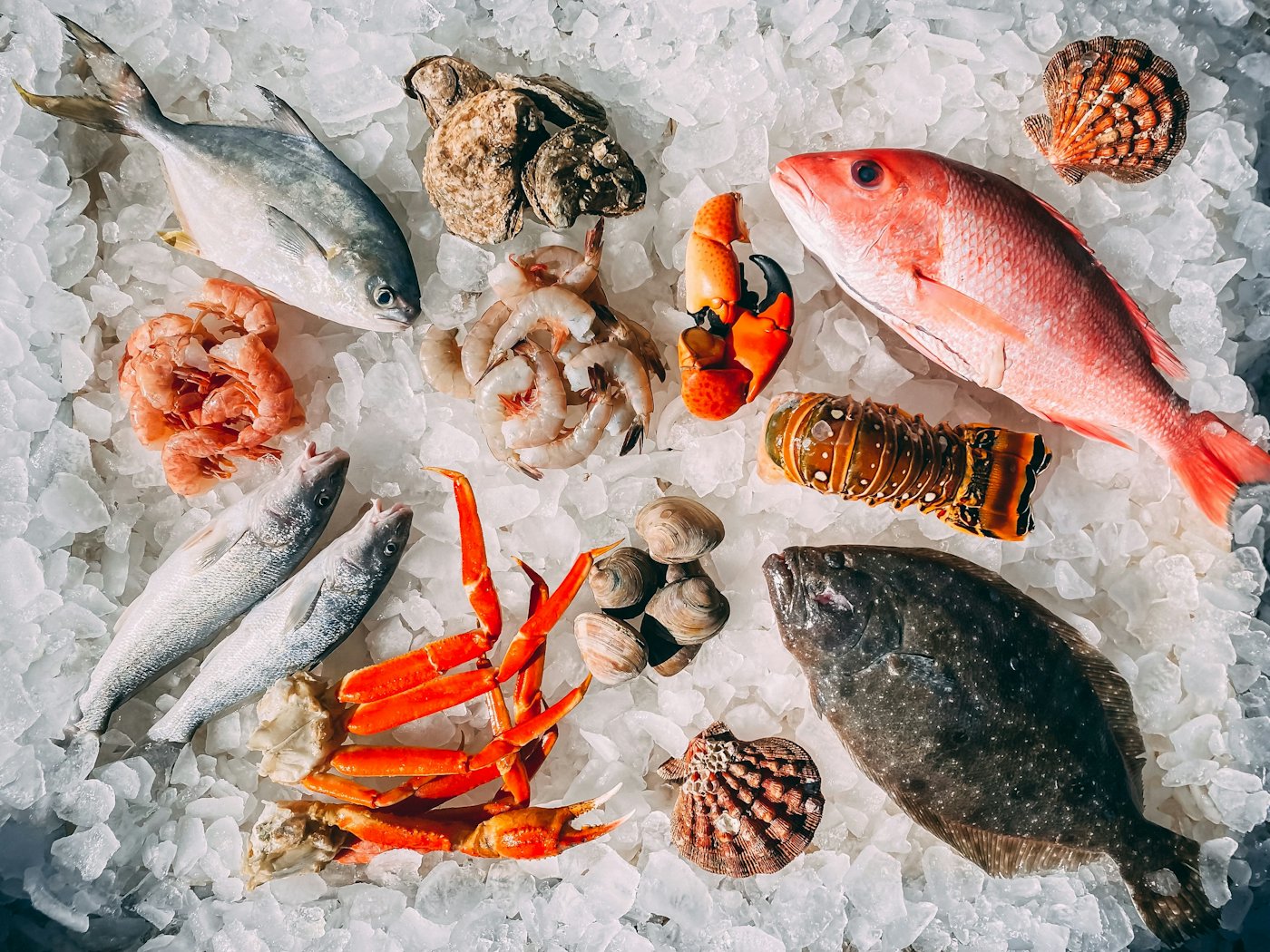 Poissons et crustacés sur la glace